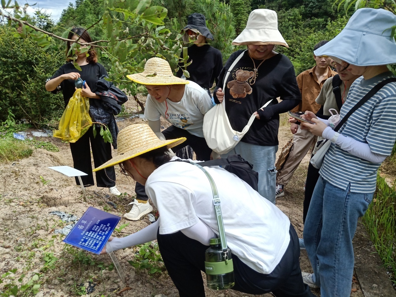 种植园中学习02.jpg